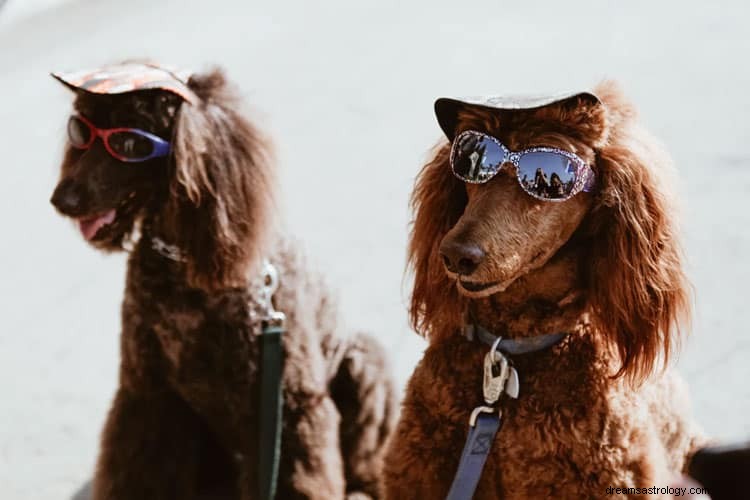 犬と子犬の夢の意味 