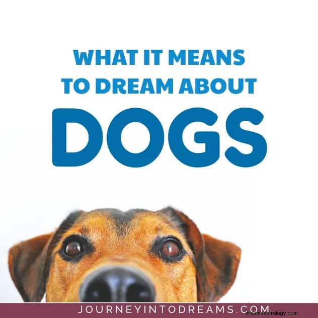 Significato dei sogni di cane e cucciolo 