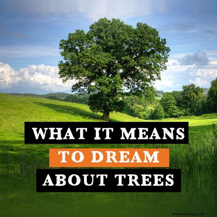 Bedeutung und Symbolik von Baumträumen 