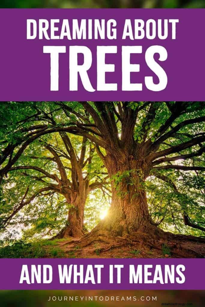 Bedeutung und Symbolik von Baumträumen 