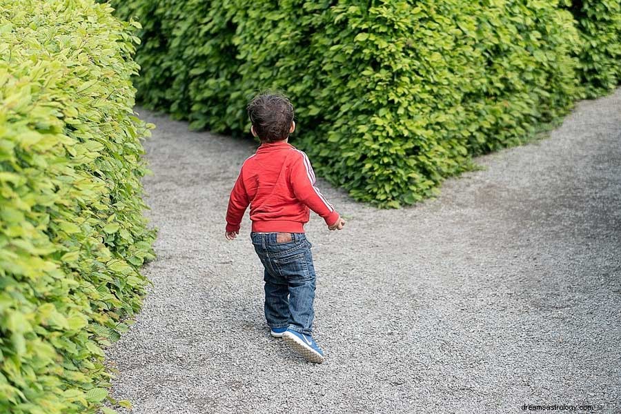 Signification des rêves de labyrinthe ou de labyrinthe 