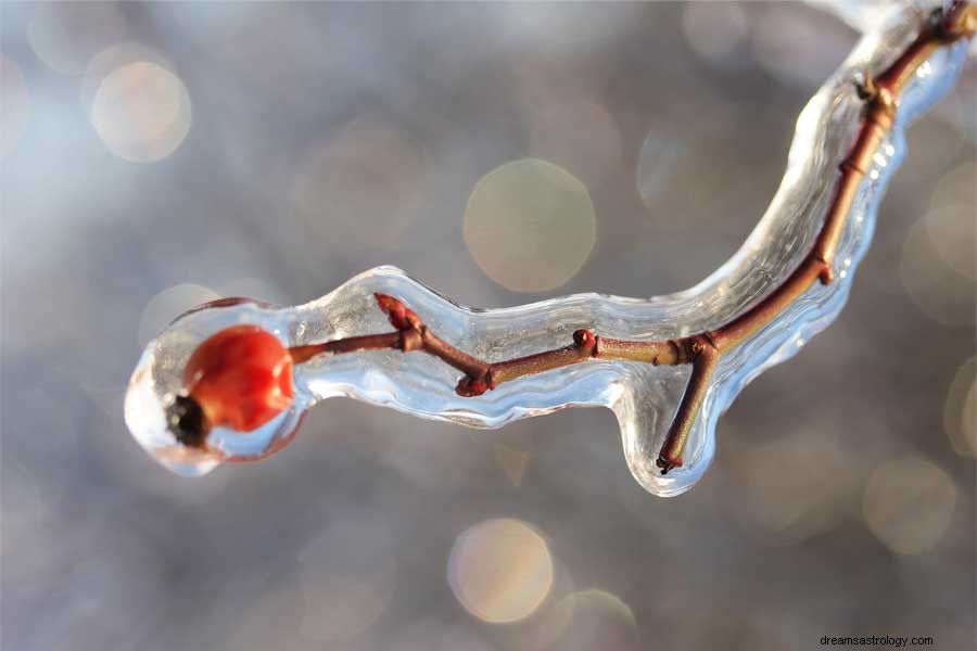 Signification du rêve de glace 