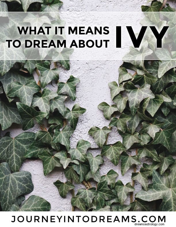 Significado dos sonhos com Ivy 