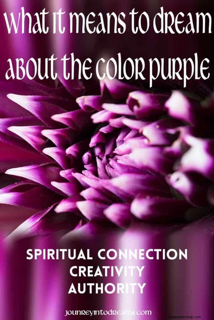 Význam a symbolika fialové barvy 