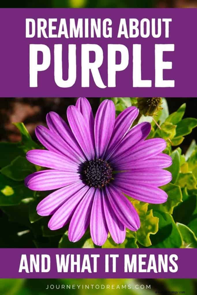 Betekenis en symboliek van paarse kleur 