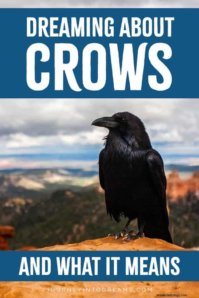 Crow Dream Symbol Betydelse 