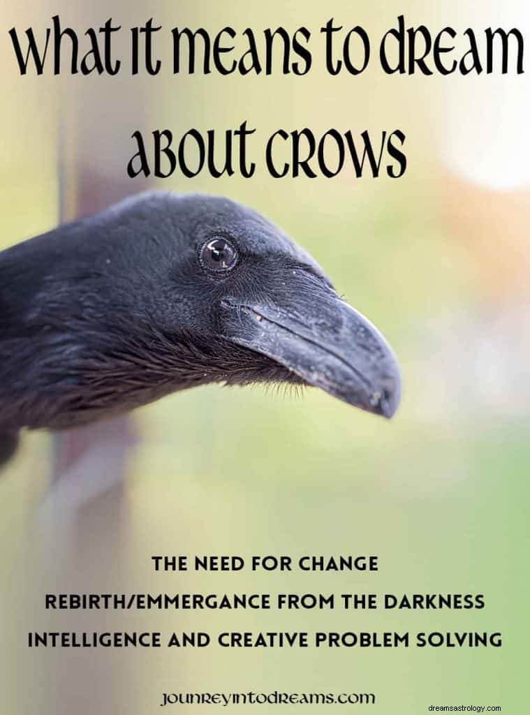 Crow Dream Symbol Betydelse 