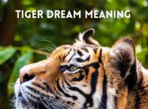 Symbolika tygra a význam snu 