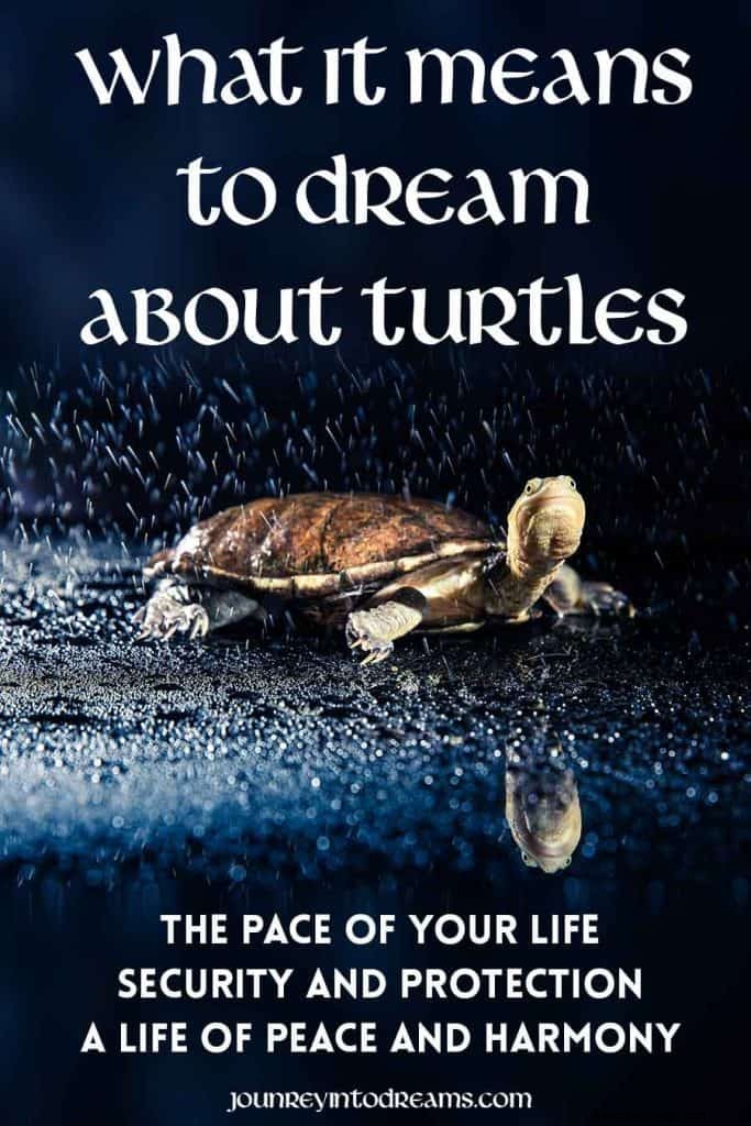 Skildpadde drøm betydning 