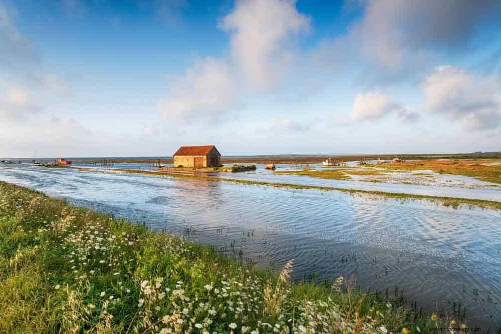 Significato del sogno di inondazione 