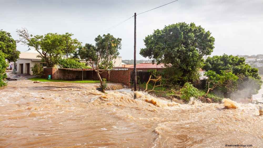 Signification du rêve d inondation 