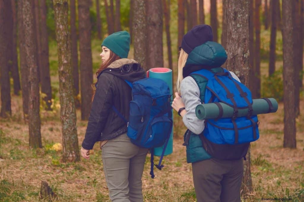 Rygsæk og BookBag Dream Betydning 