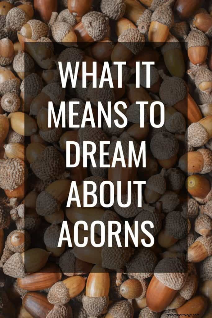 Acorn Dream Betydelse 