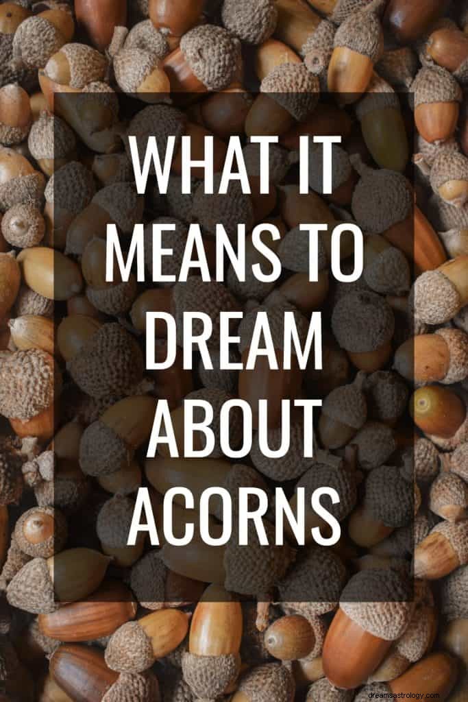 Arti Mimpi Acorn 