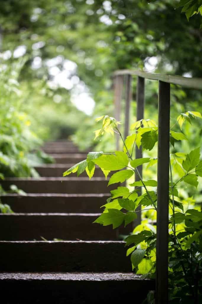 Trappen en trappen Droombetekenis 