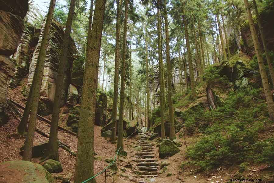 Treppen und Treppenhäuser Traumbedeutung 