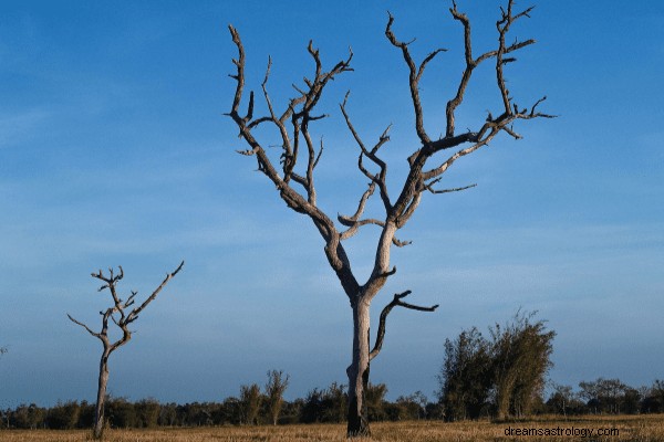 木の夢 – 解釈と一般的なシナリオ
