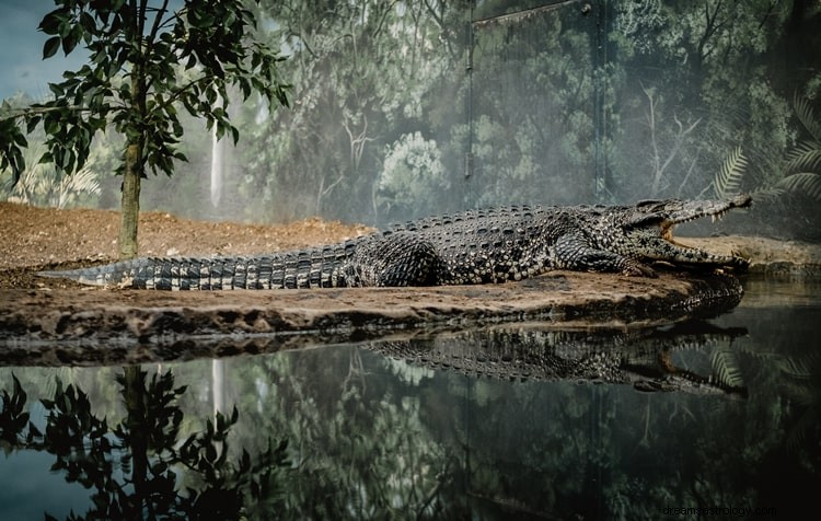 Sand betydning af de skræmmende drømme om alligatorer
