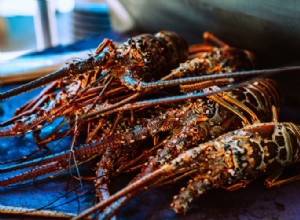 Sann mening och rätt tolkning av drömmen om hummer