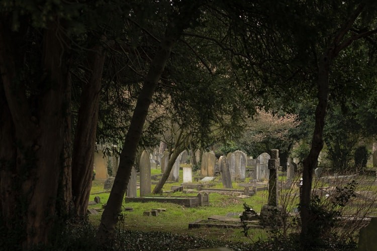 Co tak naprawdę oznaczają straszne sny cmentarne?
