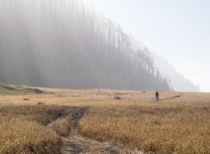 Le sens caché des rêves d être perdu