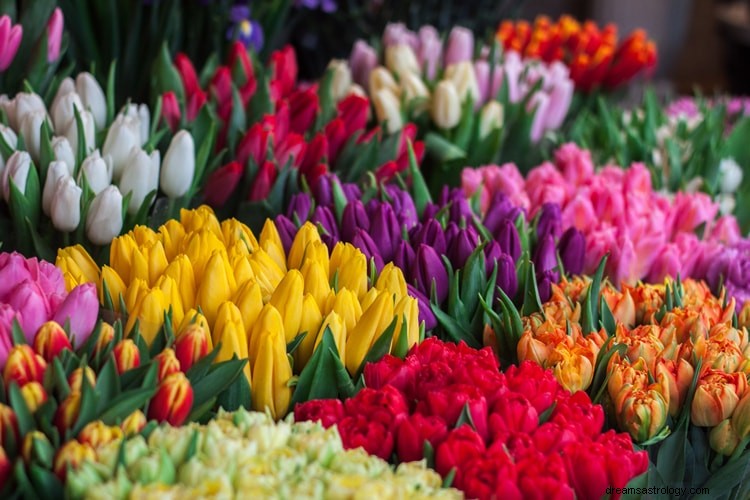 Wahre Bedeutung und richtige Interpretation eines Traums über Blumen