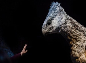 O significado correto dos sonhos sobre criaturas míticas 