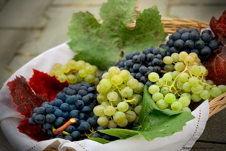 Verdadeiro significado e interpretação correta dos sonhos sobre uvas