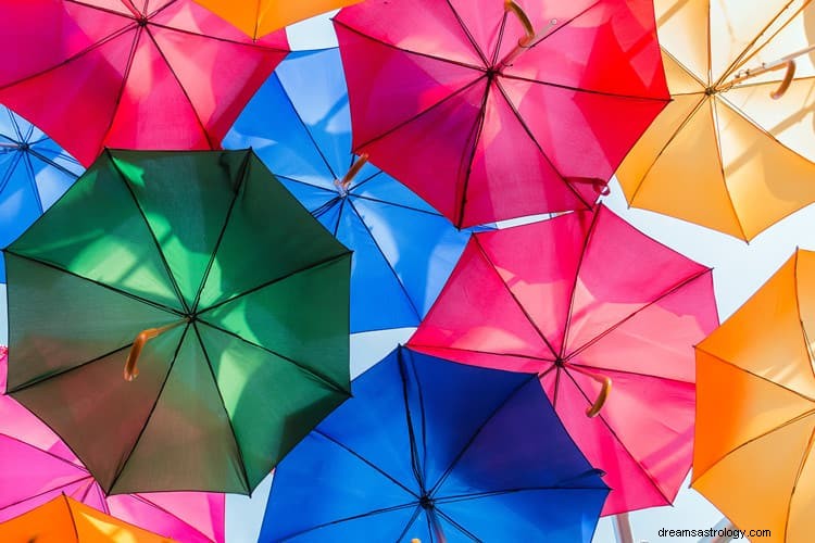 Alles wat u moet weten over parapludromen