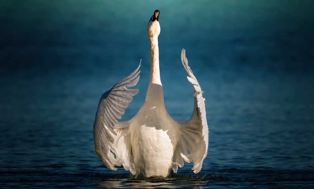 keltisches Sternzeichen Schwan