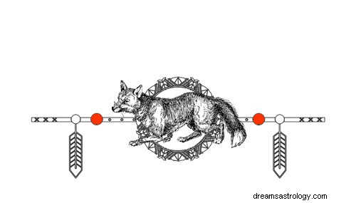 Betekenissen van totemgeboorte van inheemse Amerikaanse dieren