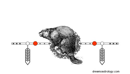 Betekenissen van totemgeboorte van inheemse Amerikaanse dieren