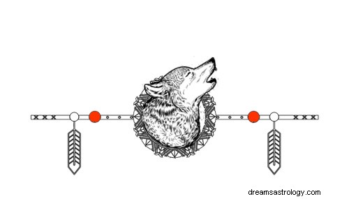 Betekenissen van totemgeboorte van inheemse Amerikaanse dieren