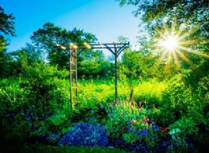 Astrologi og årstiderne – sommerens stjernetegn og betydninger