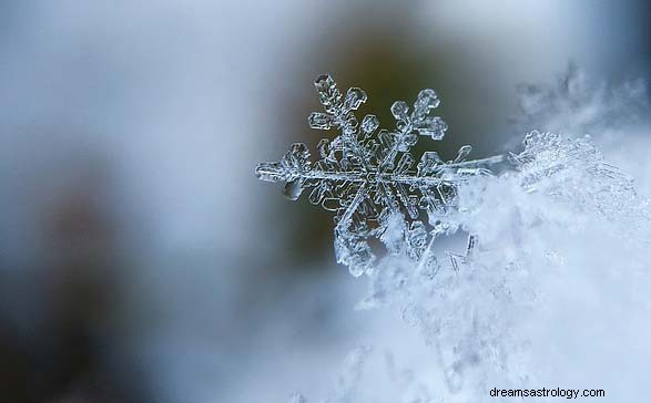 Astrologie et saisons – Signes du zodiaque d hiver et significations