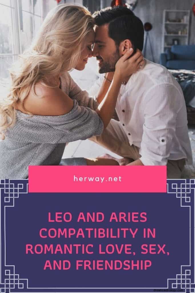 Compatibilité Lion et Bélier dans l amour romantique, le sexe et l amitié