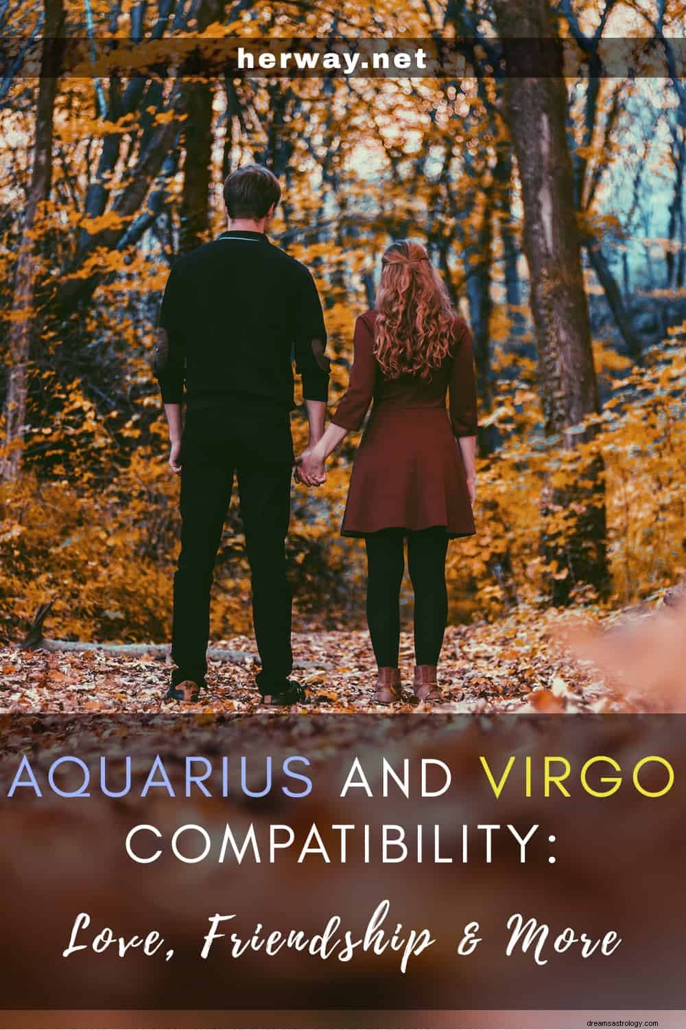 Compatibilidade com Aquário e Virgem:amor, amizade e muito mais