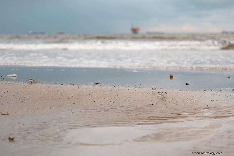 Waterman en kanker – ontdek of je een goede match bent