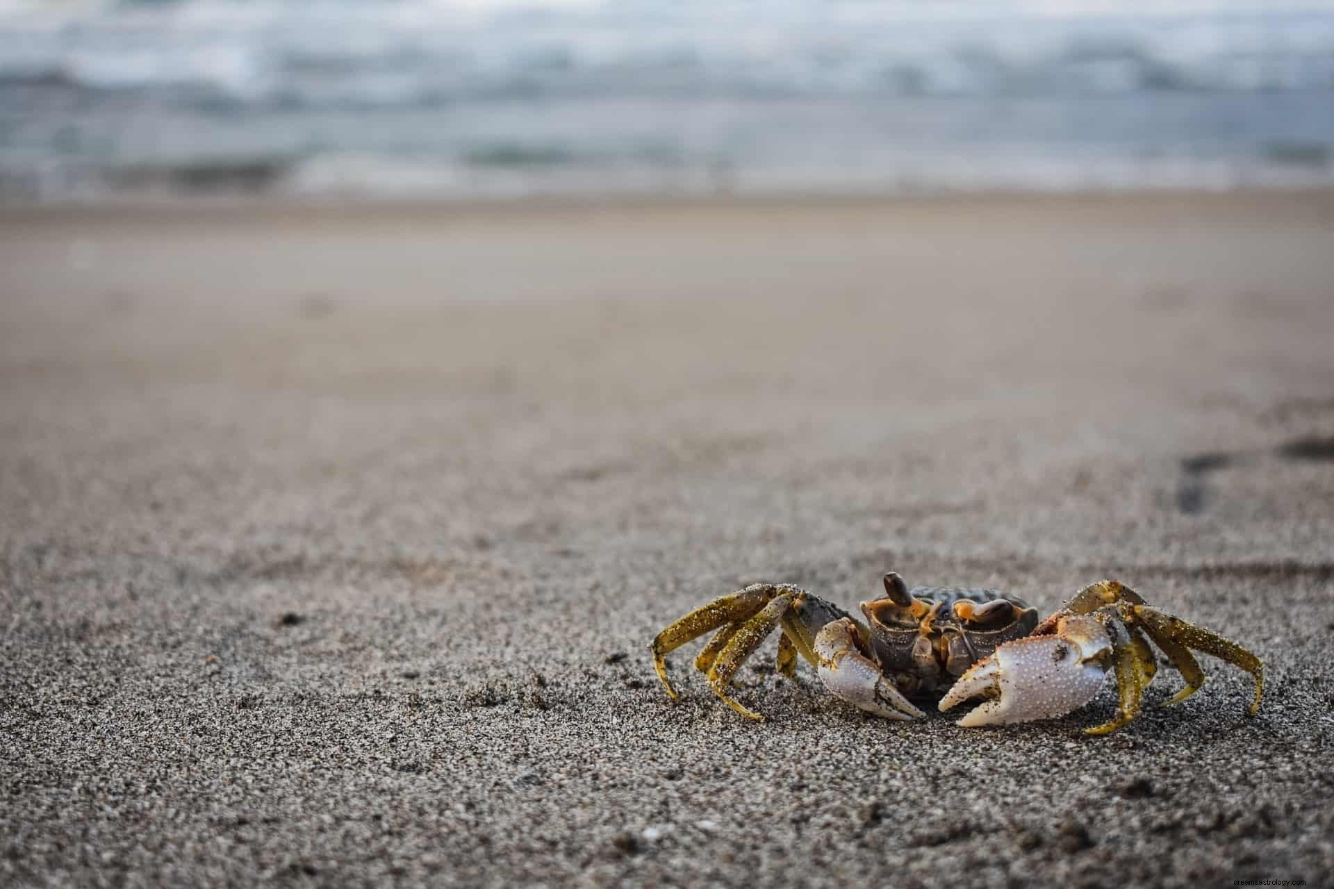 Acuario y Cáncer:descubra si son una buena pareja