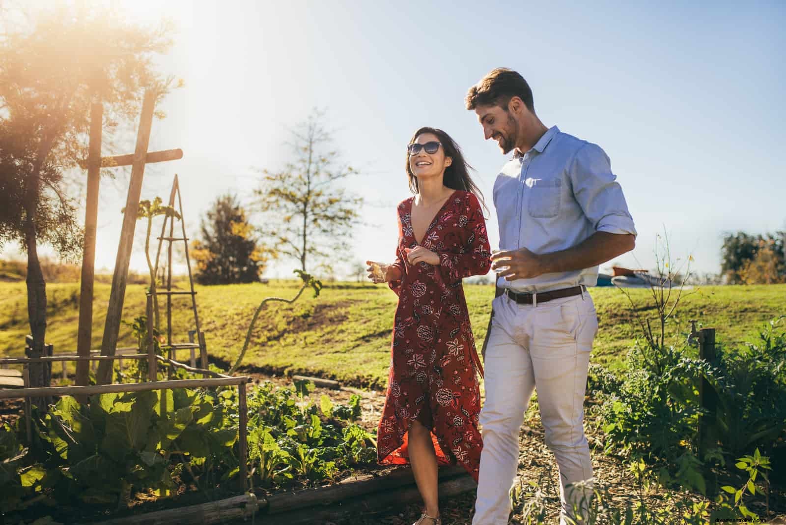 Compatibilità toro e cancro in amore e amicizia