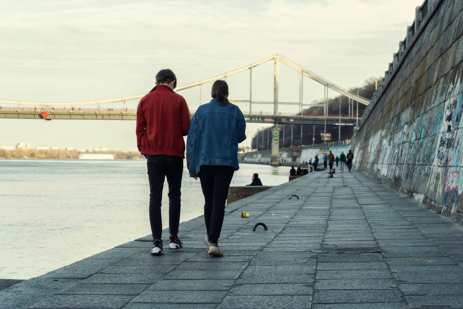 Kanker en Leeuw compatibiliteit in liefde en vriendschap