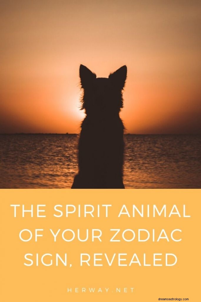 Duchowe zwierzę twojego znaku zodiaku zostało ujawnione