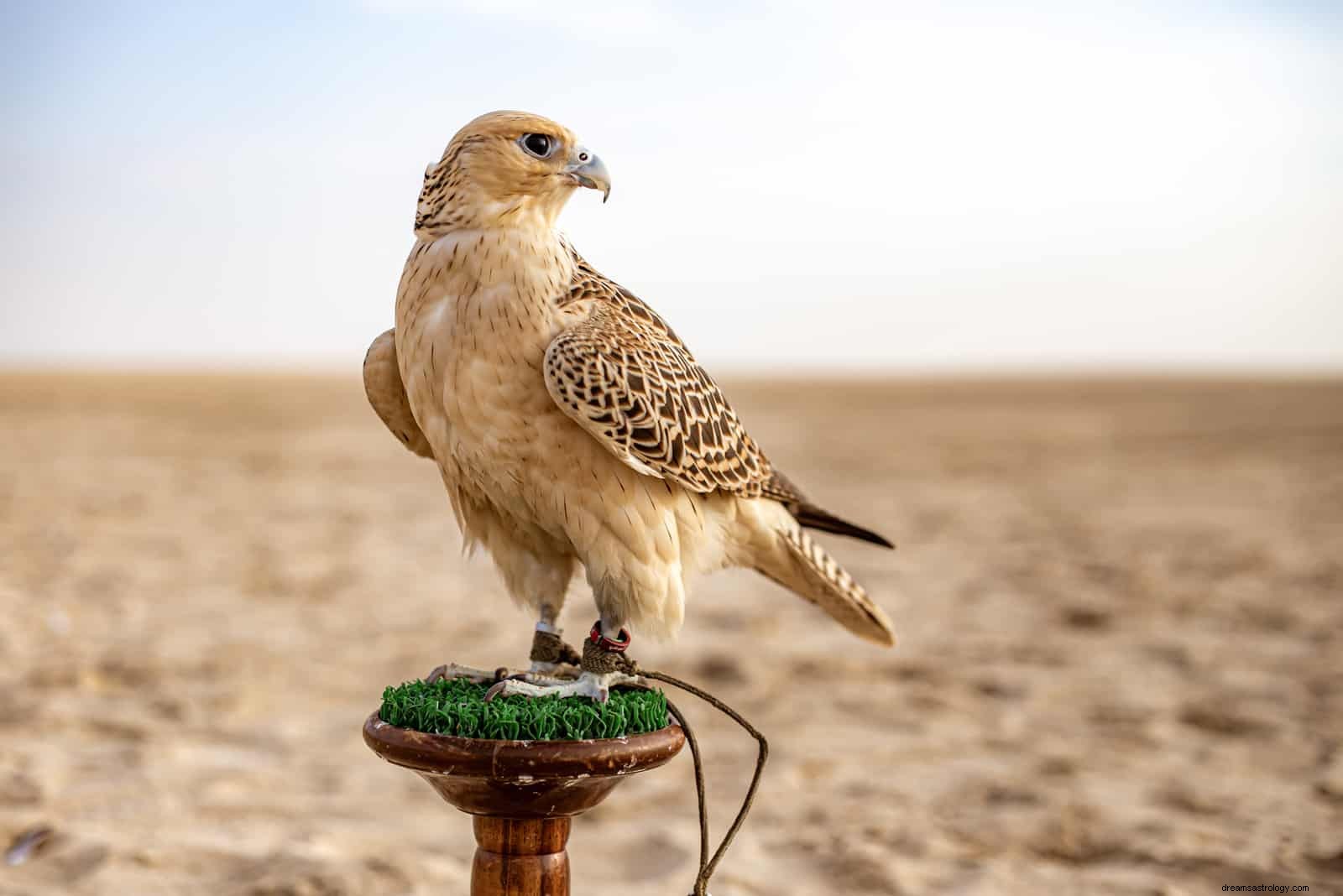 Seu espírito animal por aniversário em 3 zodíacos mundiais