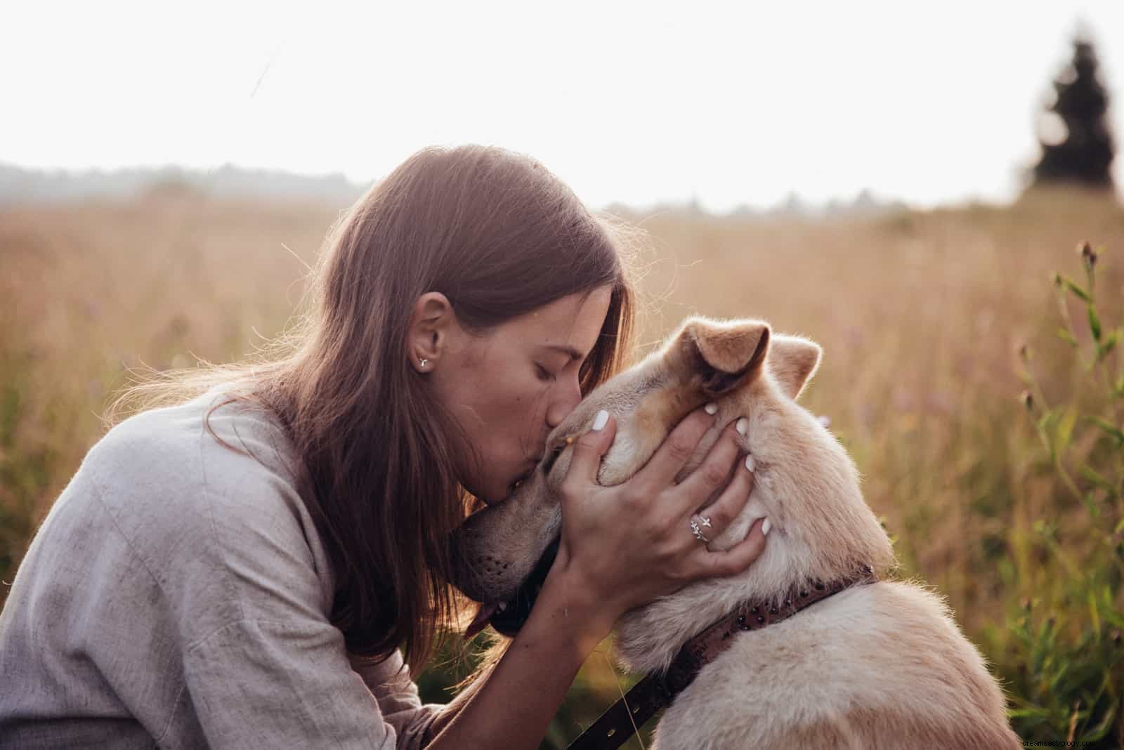 Votre animal spirituel par anniversaire dans 3 signes du zodiaque du monde