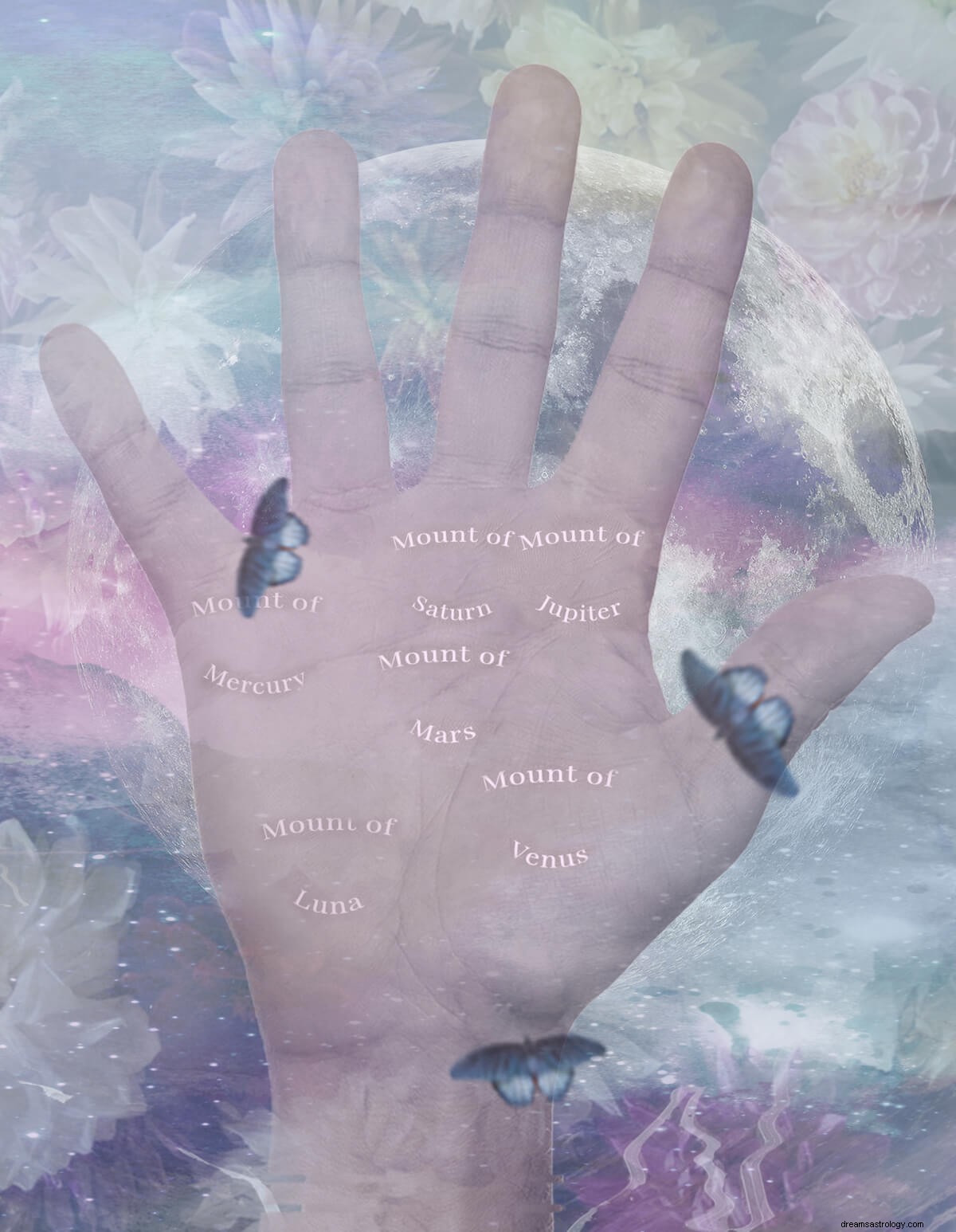 Palmistry Basics