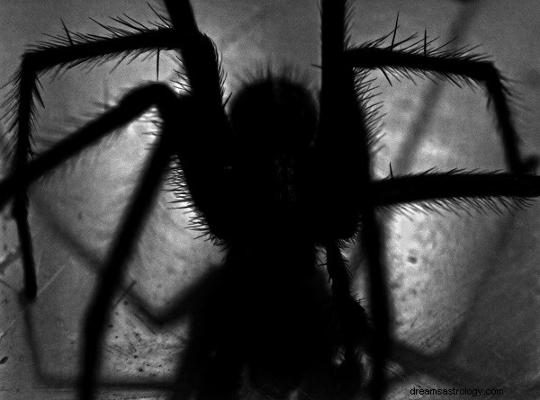 Co to znaczy, gdy śnisz o pająkach?