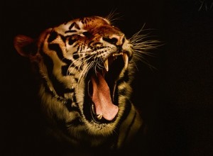 Význam tygřího snu:mocné důsledky za ním