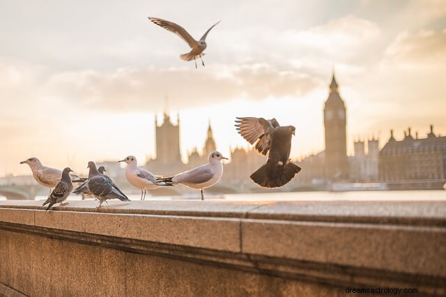 Significado bíblico de los pájaros en los sueños