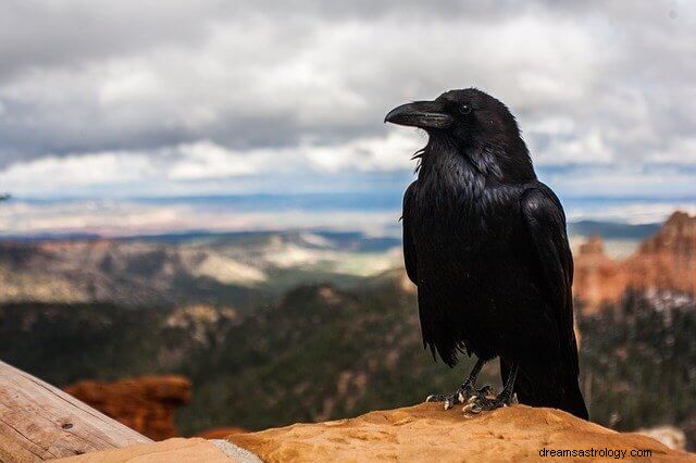 Significado bíblico de los pájaros en los sueños