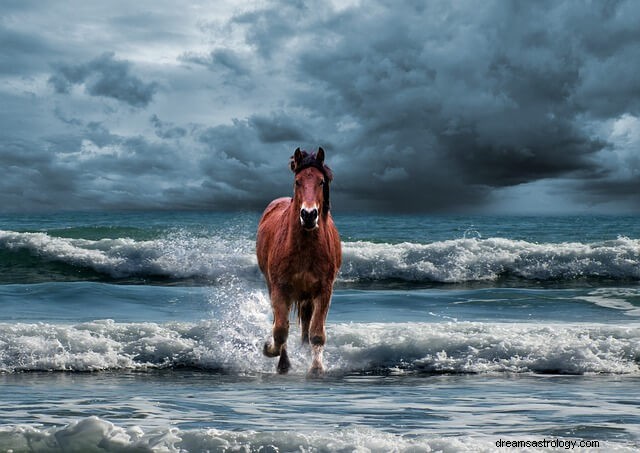 Significado e simbolismo do sonho do cavalo marrom